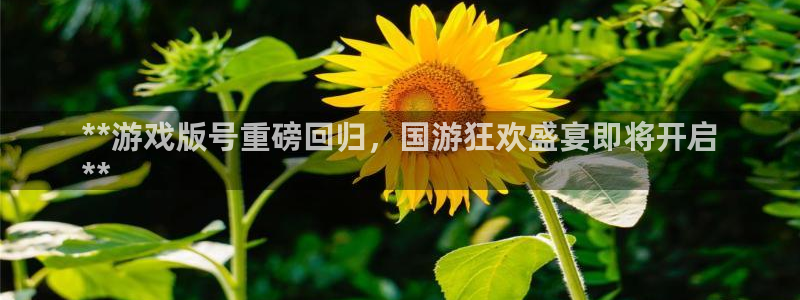 门徒娱乐带你赚钱套路是真的吗：**游戏版号重磅回归，国游狂欢盛宴即将开启
**