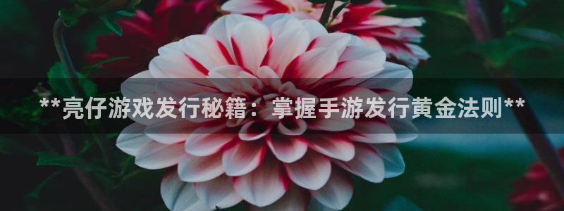 门徒娱乐创始人简介图片：**亮仔游戏发行秘籍：掌握手游发行黄金法则**