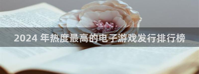 门徒娱乐怎么下载软件：2024 年热度最高的电子游戏发行排行榜