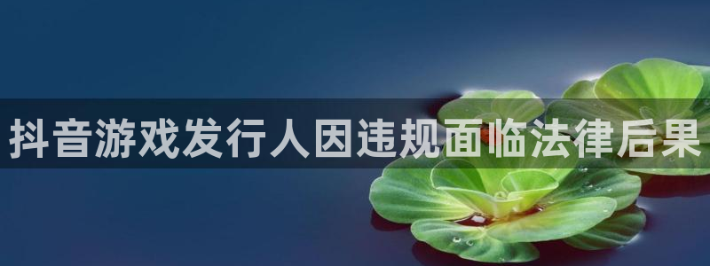 门徒娱乐怎么注册：抖音游戏发行人因违规面临法律后果