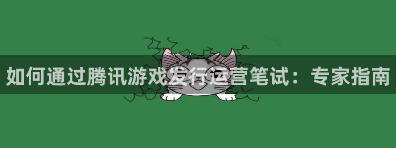 门徒平台登录：如何通过腾讯游戏发行运营笔试：专家指南