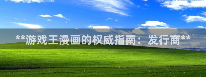 门徒娱乐平台：**游戏王漫画的权威指南：发行商**