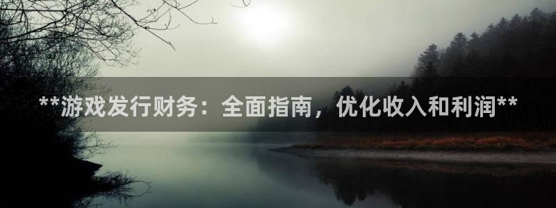 门徒娱乐官网首页下载：**游戏发行财务：全面指南，优化收入和利润**