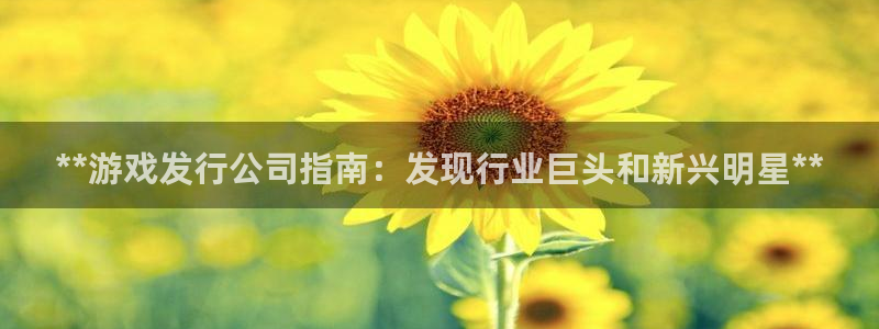 门徒平台登录注册：**游戏发行公司指南：发现行业巨头和新兴明星**