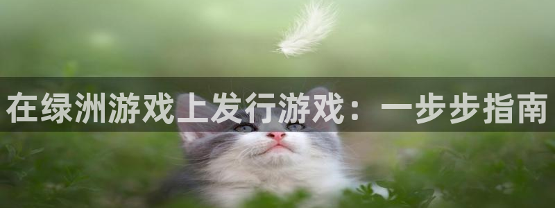 门徒平台服务站：在绿洲游戏上发行游戏：一步步指南