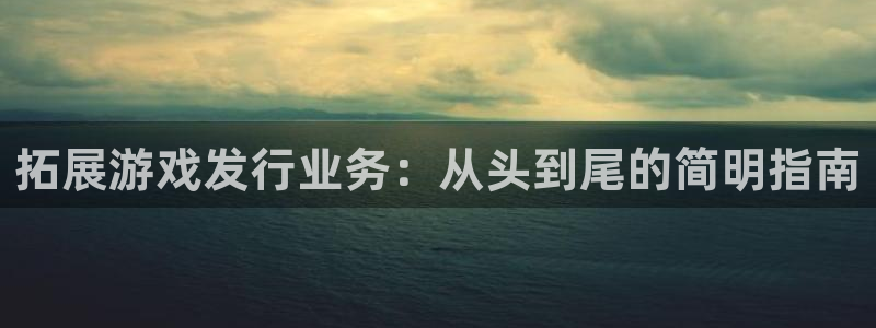 门徒平台官网：拓展游戏发行业务：从头到尾的简明指南