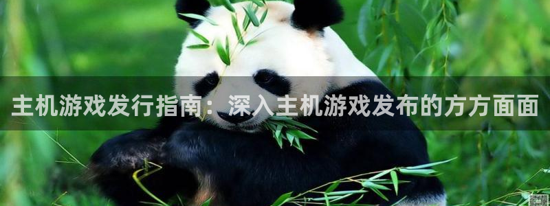 门徒平台注册中心官网下载：主机游戏发行指南：深入主机游戏发布的方方面面