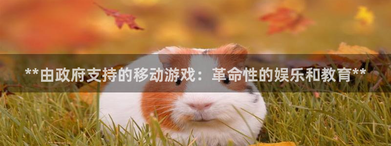 门徒娱乐企业简介：**由政府支持的移动游戏：革命性的娱乐和教育**