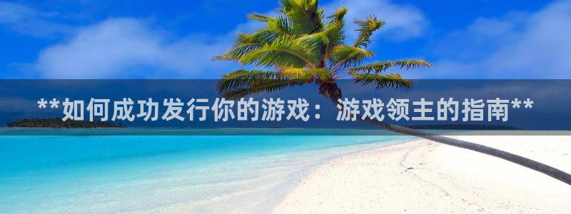 门徒娱乐平台代理怎么做：**如何成功发行你的游戏：游戏领主的指南**