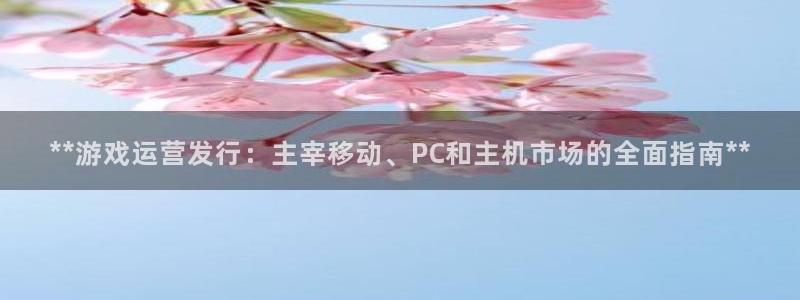 门徒平台上级