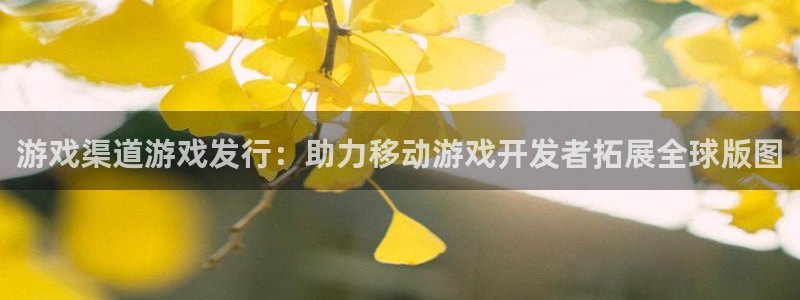 门徒娱乐游戏平台：游戏渠道游戏发行：助力移动游戏开发者拓展全球版图
