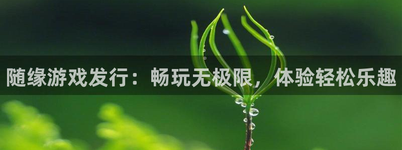 门徒娱乐用户评价与反馈：随缘游戏发行：畅玩无极限，体验轻松乐趣