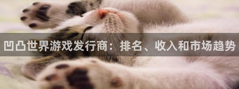 门徒平台下载：凹凸世界游戏发行商：排名、收入和市场趋势