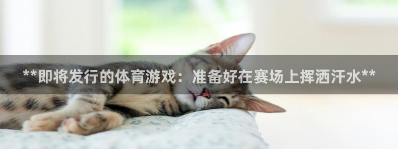 门徒娱乐的客服服务：**即将发行的体育游戏：准备好在赛场上挥洒汗水**
