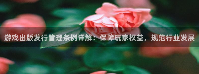 门徒娱乐注册下载安装：游戏出版发行管理条例详解：保障玩家权益，规范行业发展