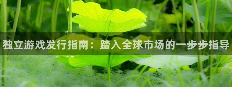 门徒娱乐是什么意思啊：独立游戏发行指南：踏入全球市场的一步步指导