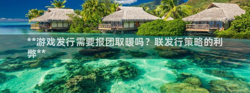 门徒平台地址：**游戏发行需要报团取暖吗？联发行策略的利
弊**