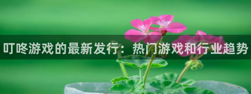 门徒娱乐平台登录官网：叮咚游戏的最新发行：热门游戏和行业趋势