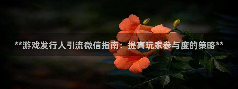 门徒娱乐app代理加盟多少钱：**游戏发行人引流微信指南：提高玩家参与度的策略**