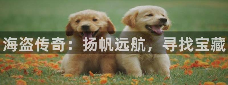 门徒娱乐是什么