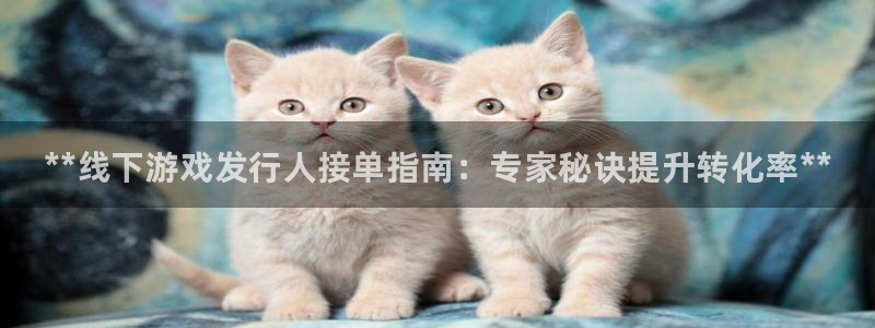门徒娱乐网址是什么：**线下游戏发行人接单指南：专家秘诀提升转化率**