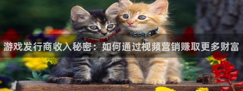 门徒平台开户怎么开通