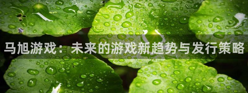 门徒平台商 5O6917 平台：马旭游戏：未来的游戏新趋势与发行策略